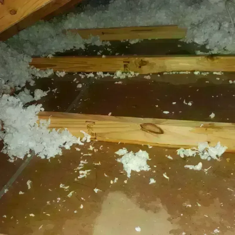 Attic Water Damage in Palmyra, ME